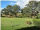 Wingham NSW 2429