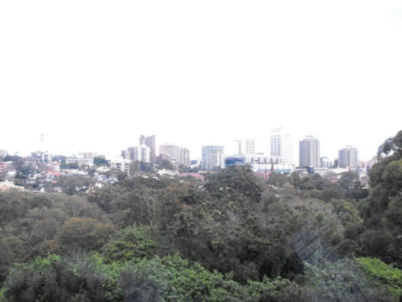 6/44 Bellevue Road, Bellevue Hill NSW 2023