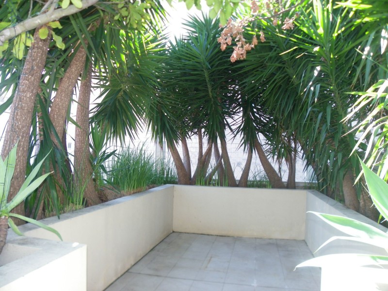 3/83 Gould Street, Bondi Beach NSW 2026