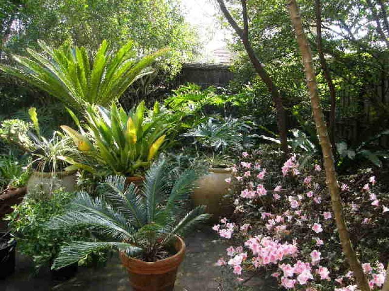 1/16 Darling Point Road, Darling Point NSW 2027