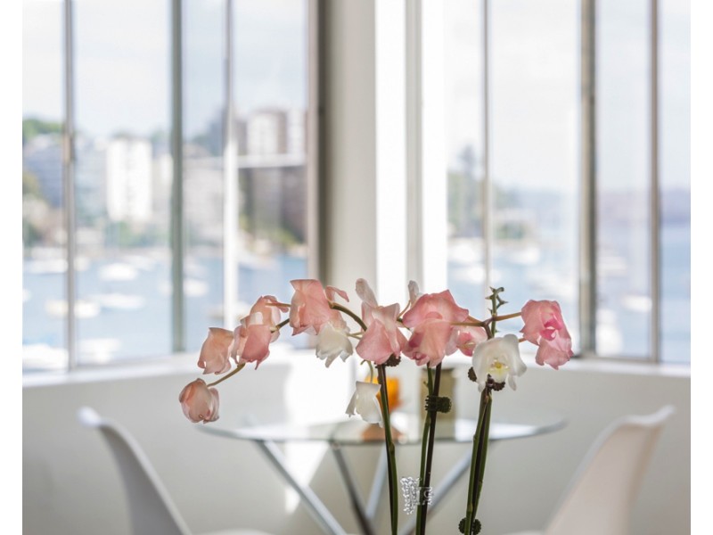 10/24 Stafford Street, Double Bay NSW 2028
