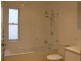 36A Alfred Street, Bronte NSW 2024