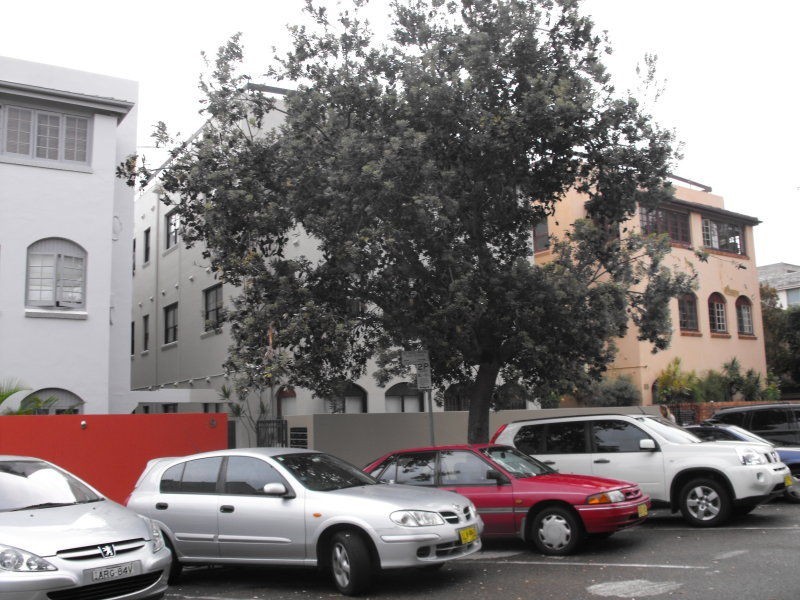 1/87 Roscoe Street, Bondi Beach NSW 2026