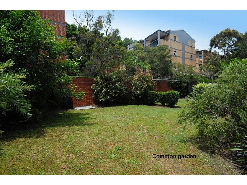 9/7 William Street, Randwick NSW 2031