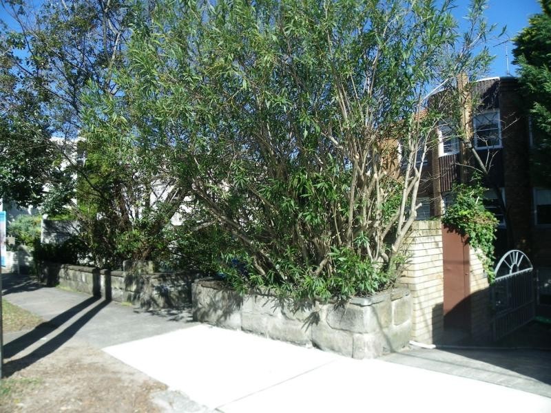 2/44 Bellevue Road, Bellevue Hill NSW 2023