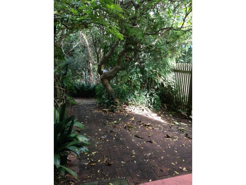 19 Bowes Avenue, Edgecliff NSW 2027