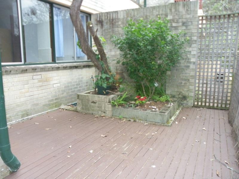 2/4 Holt Street, Double Bay NSW 2028