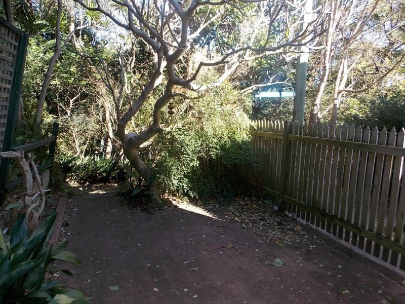 19 Bowes Avenue, Paddington NSW 2021