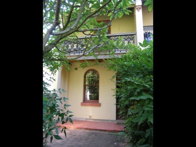 19 Bowes Avenue, Paddington NSW 2021