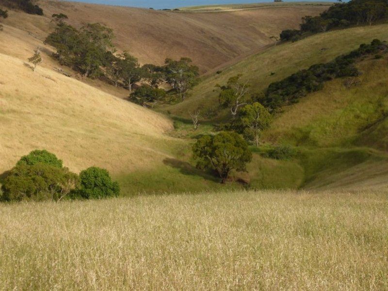 Lot 9, 10 & 11 Myponga Beach Road, Myponga Beach SA 5202