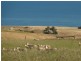 Lot 9, 10 & 11 Myponga Beach Road, Myponga Beach SA 5202