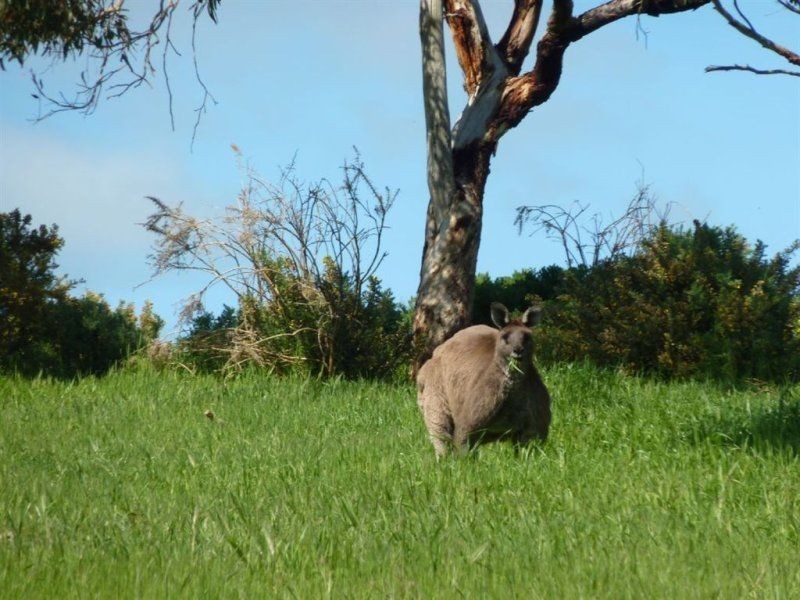 Lot 10 Back Valley Road, Victor Harbor SA 5211