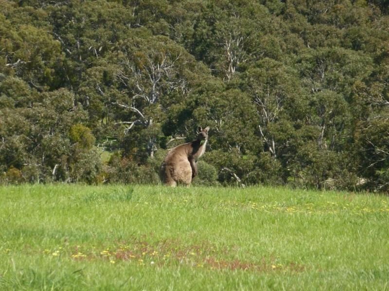 Lot 10 Back Valley Road, Victor Harbor SA 5211