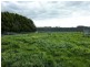 Lot 779 Tapanappa Road, Parawa SA 5203