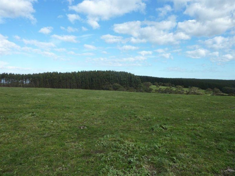 Lot 779 Tapanappa Road, Parawa SA 5203