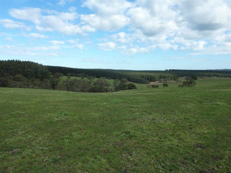 Lot 779 Tapanappa Road, Parawa SA 5203