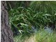Lot 779 Tapanappa Road, Parawa SA 5203