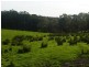 Lot 779 Tapanappa Road, Parawa SA 5203