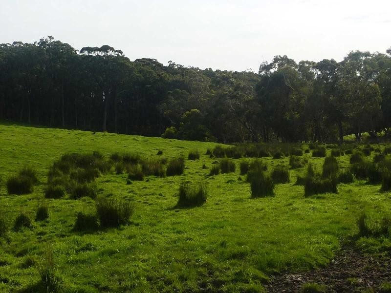 Lot 779 Tapanappa Road, Parawa SA 5203