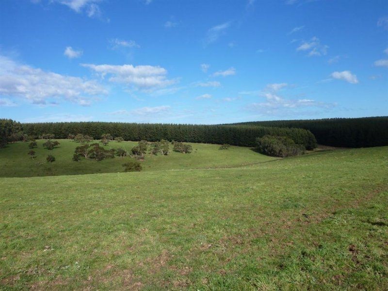 Lot 779 Tapanappa Road, Parawa SA 5203