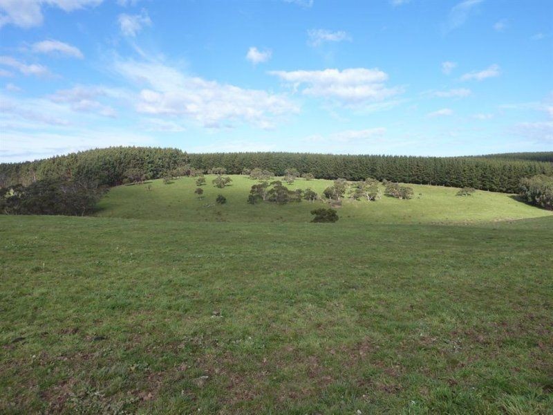 Lot 779 Tapanappa Road, Parawa SA 5203