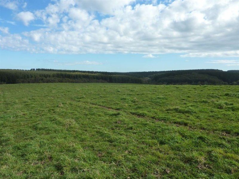 Lot 779 Tapanappa Road, Parawa SA 5203
