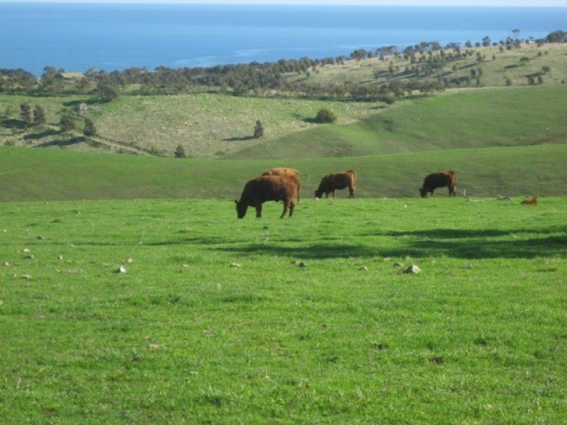 L12 Smith Hill Road, Carrickalinga SA 5204
