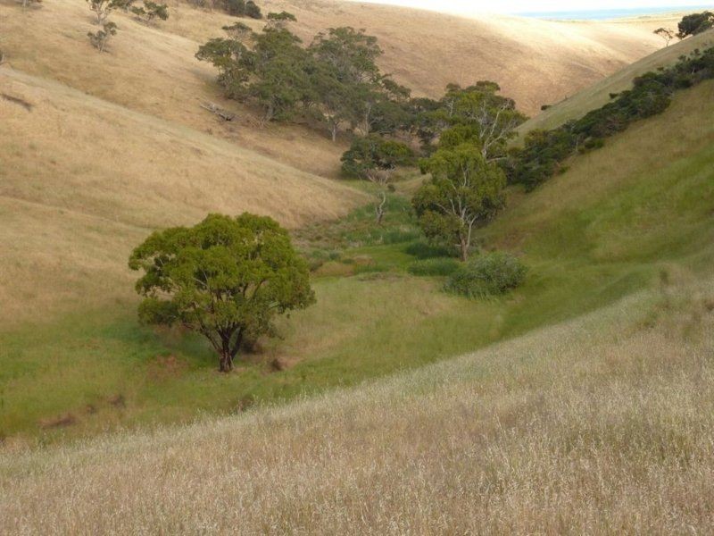 Lot 9, 10,11 Myponga Beach Road, Myponga Beach SA 5202