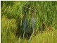 Lot 9, 10,11 Myponga Beach Road, Myponga Beach SA 5202
