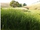 Lot 9, 10,11 Myponga Beach Road, Myponga Beach SA 5202