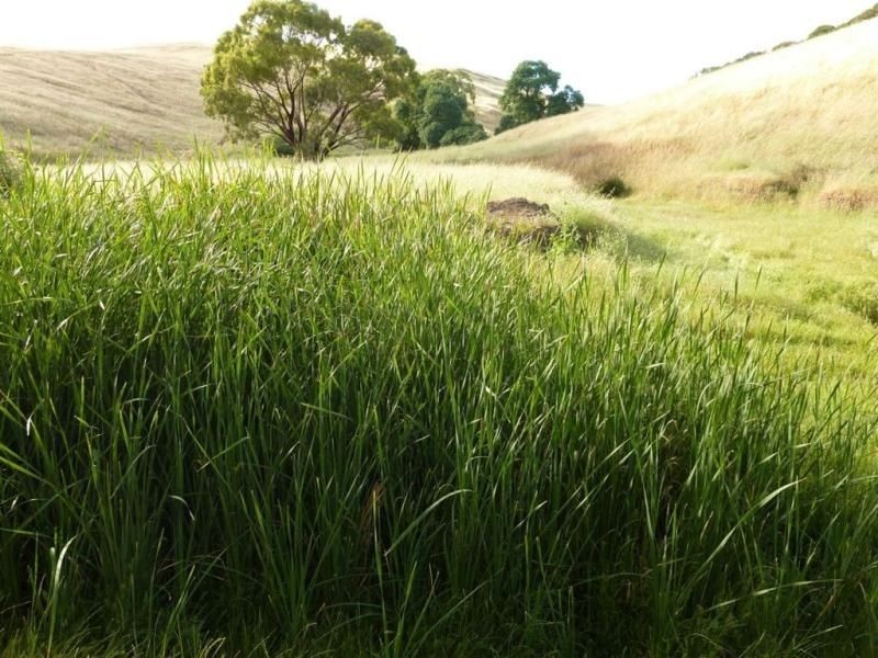 Lot 9, 10,11 Myponga Beach Road, Myponga Beach SA 5202