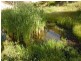 Lot 9, 10,11 Myponga Beach Road, Myponga Beach SA 5202