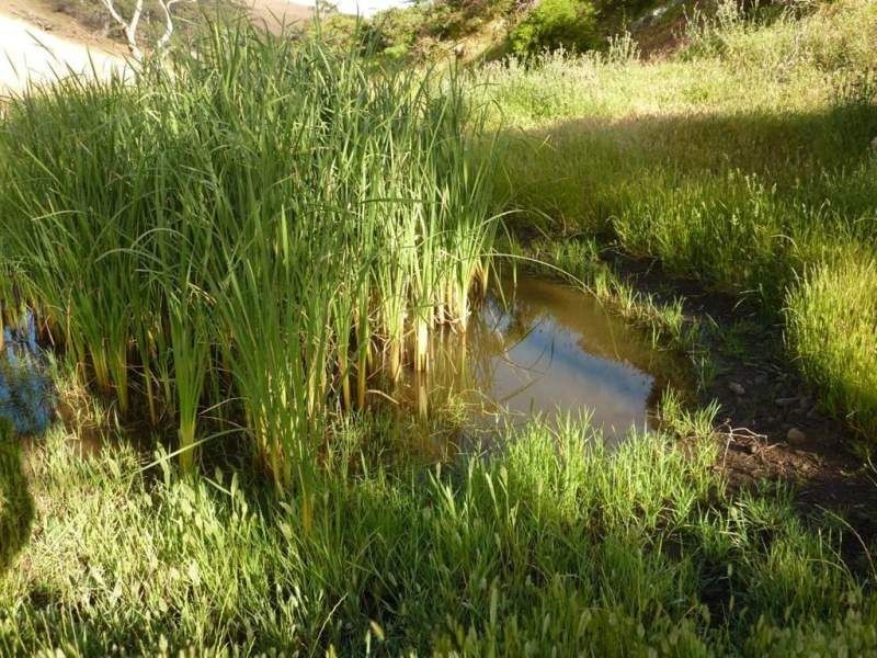 Lot 9, 10,11 Myponga Beach Road, Myponga Beach SA 5202