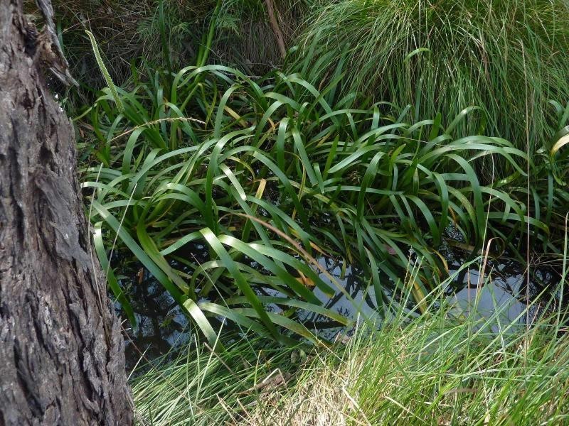 Lot 779 Tapanappa Road, Parawa SA 5203