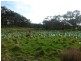 Lot 779 Tapanappa Road, Parawa SA 5203