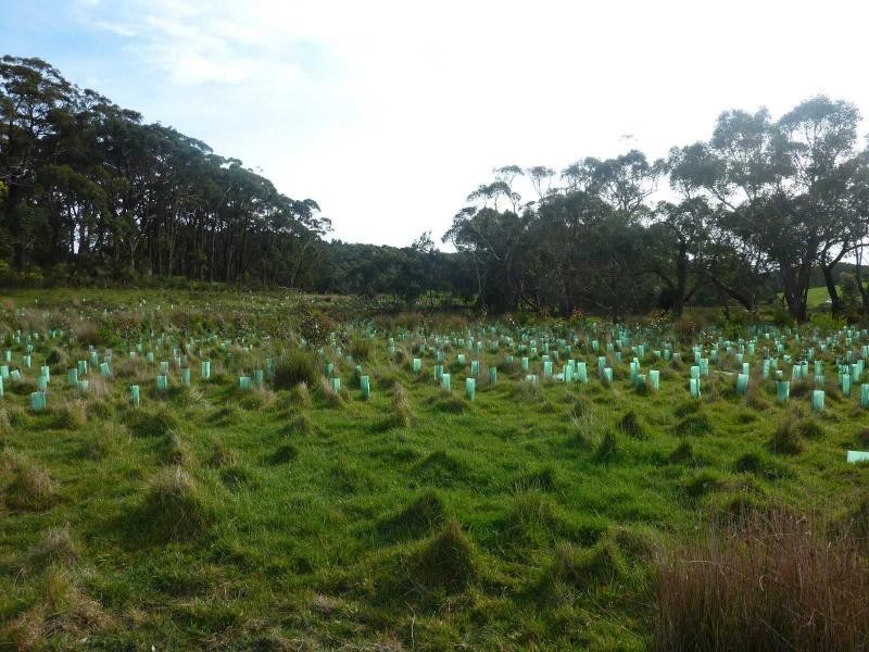 Lot 779 Tapanappa Road, Parawa SA 5203