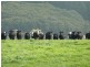Lot 779 Tapanappa Road, Parawa SA 5203