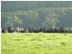 Lot 779 Tapanappa Road, Parawa SA 5203
