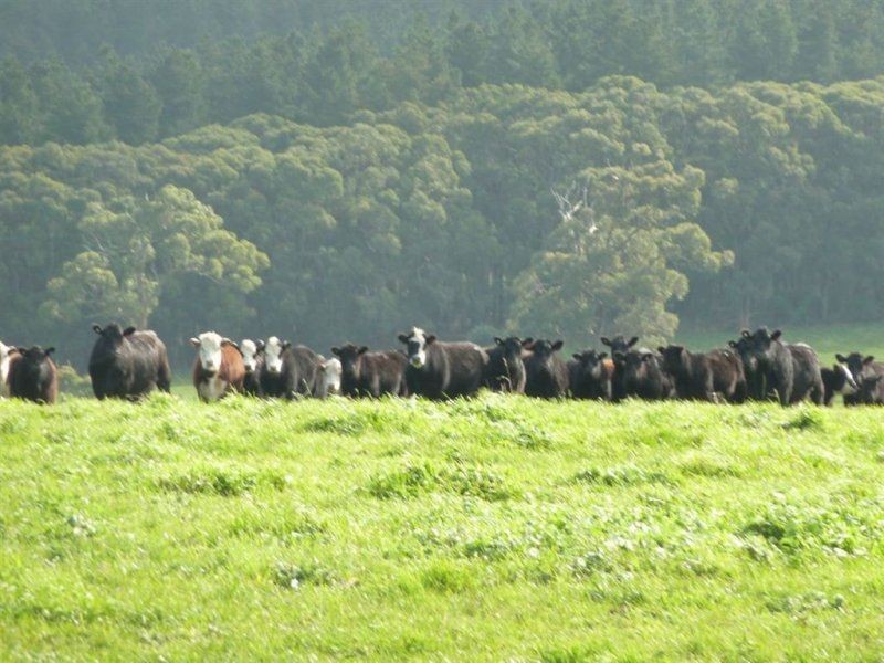 Lot 779 Tapanappa Road, Parawa SA 5203