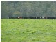 Lot 779 Tapanappa Road, Parawa SA 5203