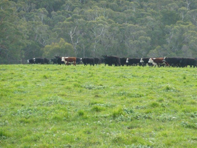 Lot 779 Tapanappa Road, Parawa SA 5203