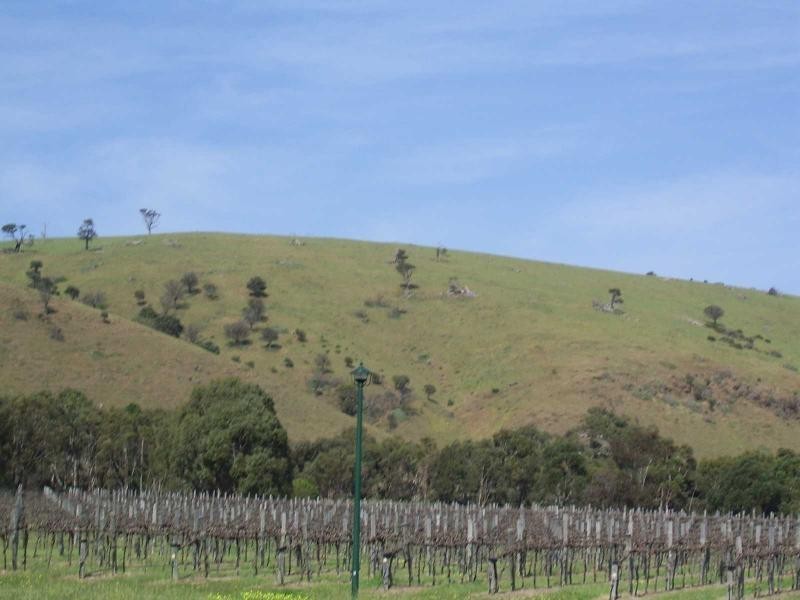 Lot 208 31/55 The Vines Drive, Normanville SA 5204