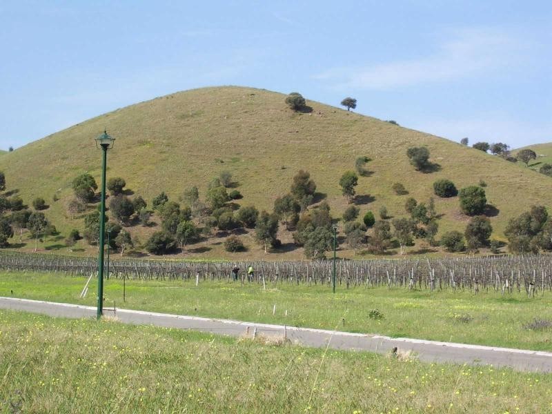 Lot 208 31/55 The Vines Drive, Normanville SA 5204