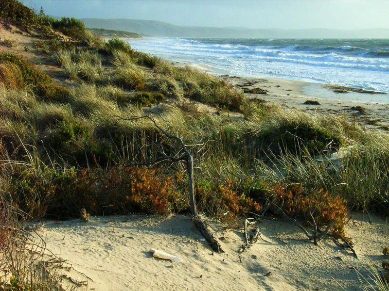 43 Gold Coast Drive, Carrickalinga SA 5204