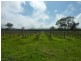 208 Rowley Road, Myponga SA 5202