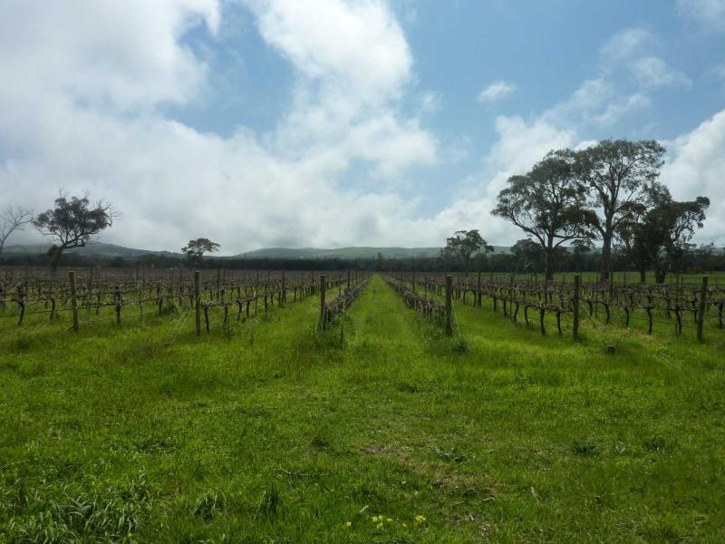 208 Rowley Road, Myponga SA 5202