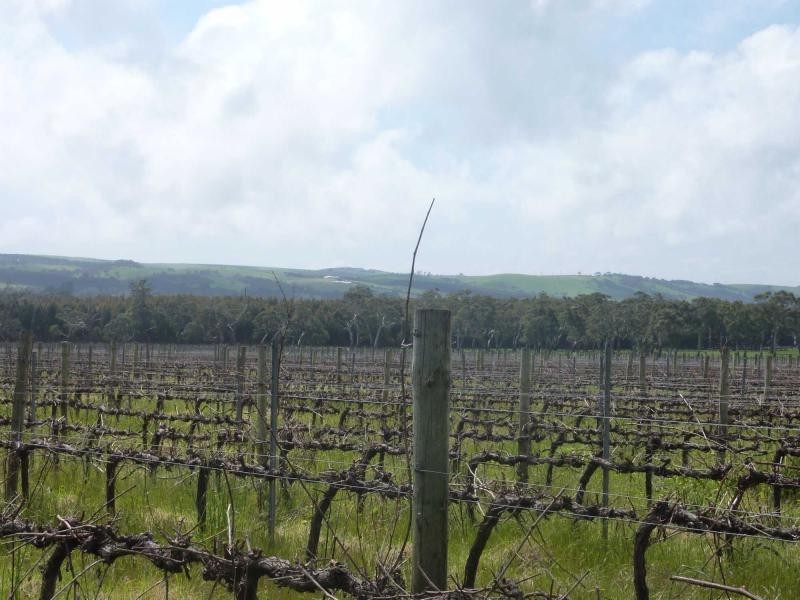 208 Rowley Road, Myponga SA 5202