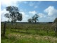 208 Rowley Road, Myponga SA 5202