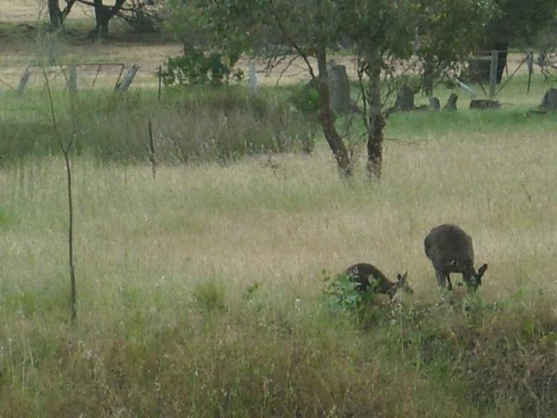 158 Main South Road, Yankalilla SA 5203