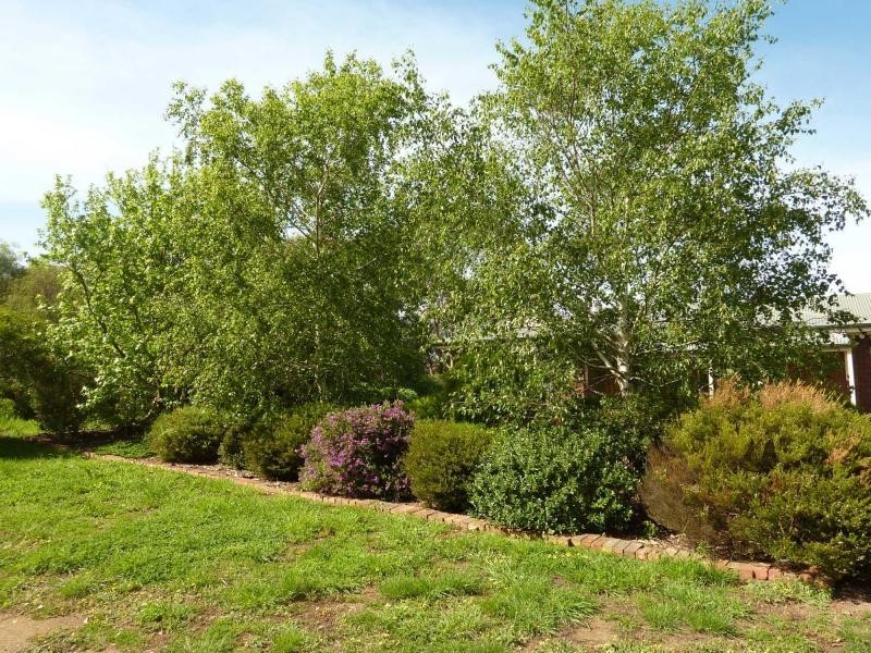 Lot 157 Springmount Road, Glengarry, Inman Valley SA 5211